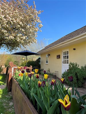 Bow Cottage - Exterior - Spring Time